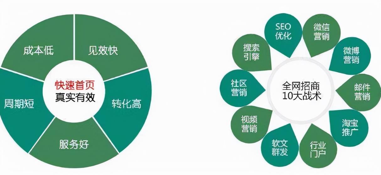 优化您的网站流量
