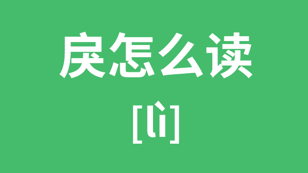 开启无忧无虑的网络体验