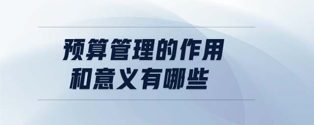 预算优化