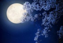 公有云中的容器技术:轻量级、可移植应用程序的优势 (公有云容灾)-优乐评测网