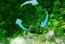 网站可持续发展计划:采用环保实践,为未来创造一个更可持续的数字生态系统-优乐评测网