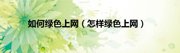 验证可持续性承诺的标准
