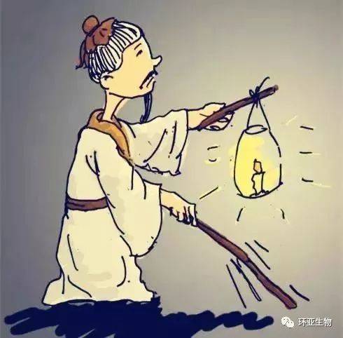 从长期角度看