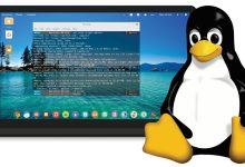 Linux 用户使用 SSH 连接到远程服务器的详细指南 (linux用什么软件)-优乐评测网
