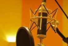 释放你的声音:为你的个人博客选择完美的平台 (释放你的声音英文)-优乐评测网