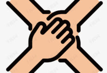 手把手教你建立全面无痛的网站备份系统,告别数据丢失的恐惧 (手把手教你建网站)-优乐评测网