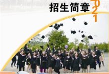 从初学者到专家:客服团队培训的全面指南 (从初学者到专家的典型工作任务包括)-优乐评测网