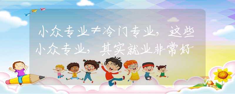 面向专业人士的网页编程
