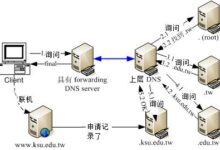 DNS 服务器软件: 比较流行选项 (DNS服务器未响应咋办)-优乐评测网