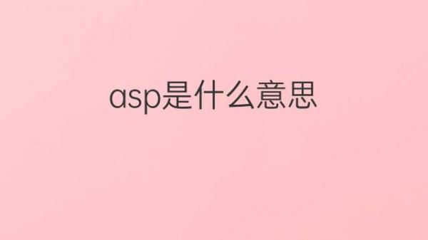 高级asic芯片综合