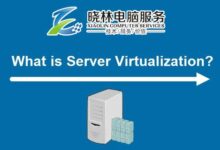 虚拟服务器与物理服务器:比较成本、优势和劣势 (虚拟服务器与DMZ)-优乐评测网