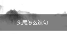 从头到尾了解在线支付系统的安全功能和风险 (从头到尾了解历史看什么书)-优乐评测网