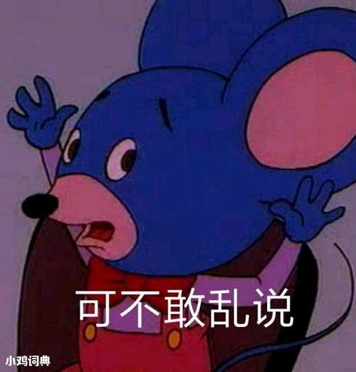 揭开网络的神秘面纱