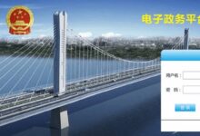 电子政务的加密引擎:TLS 加密如何在政府服务中提升信任 (电子政务加速发展网络扶贫扎实推进什么和基本公共服务)-优乐评测网
