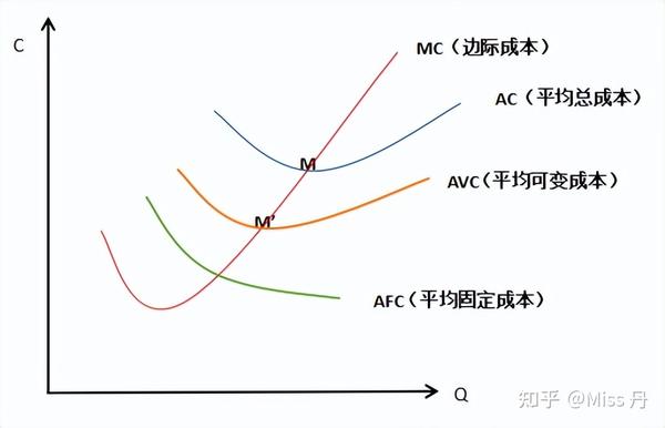 投入成本与长期运营考量