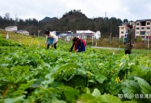 搬迁成本究竟是多少？-优乐评测网