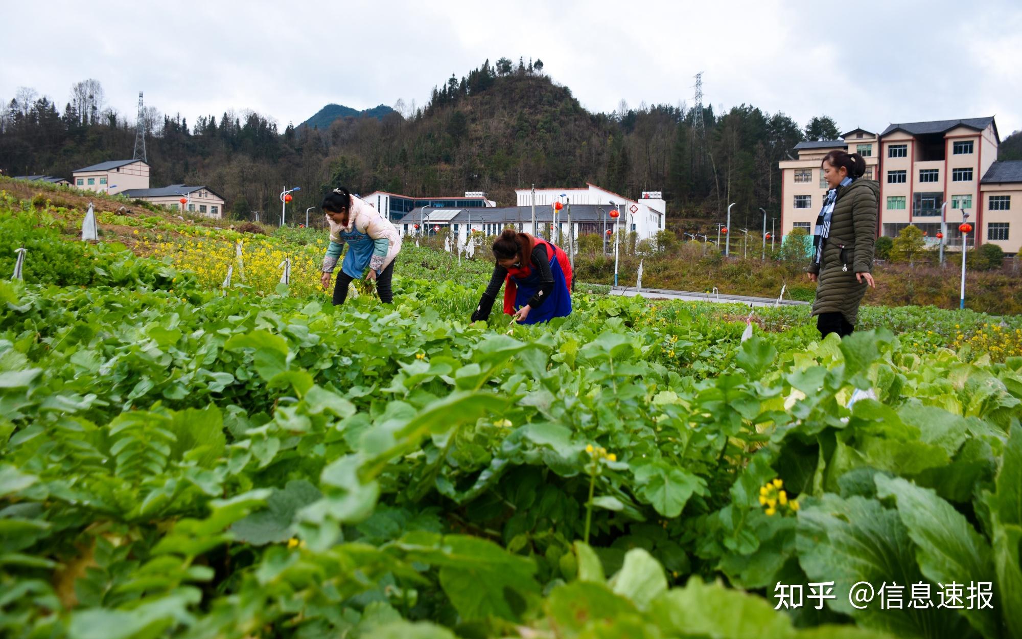 搬迁成本究竟是多少