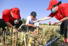 收银服务器价格究竟多少？-优乐评测网