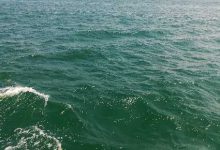 全球究竟有多少台IPv6母根服务器？-优乐评测网