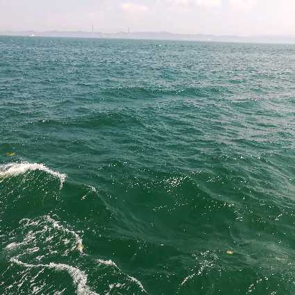 全球究竟有多少台IPv6母根服务器