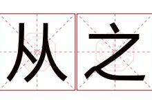 从预算到选购一站式解析-优乐评测网