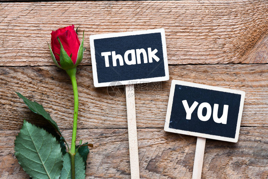 您想知道契友服务器的年费是多少