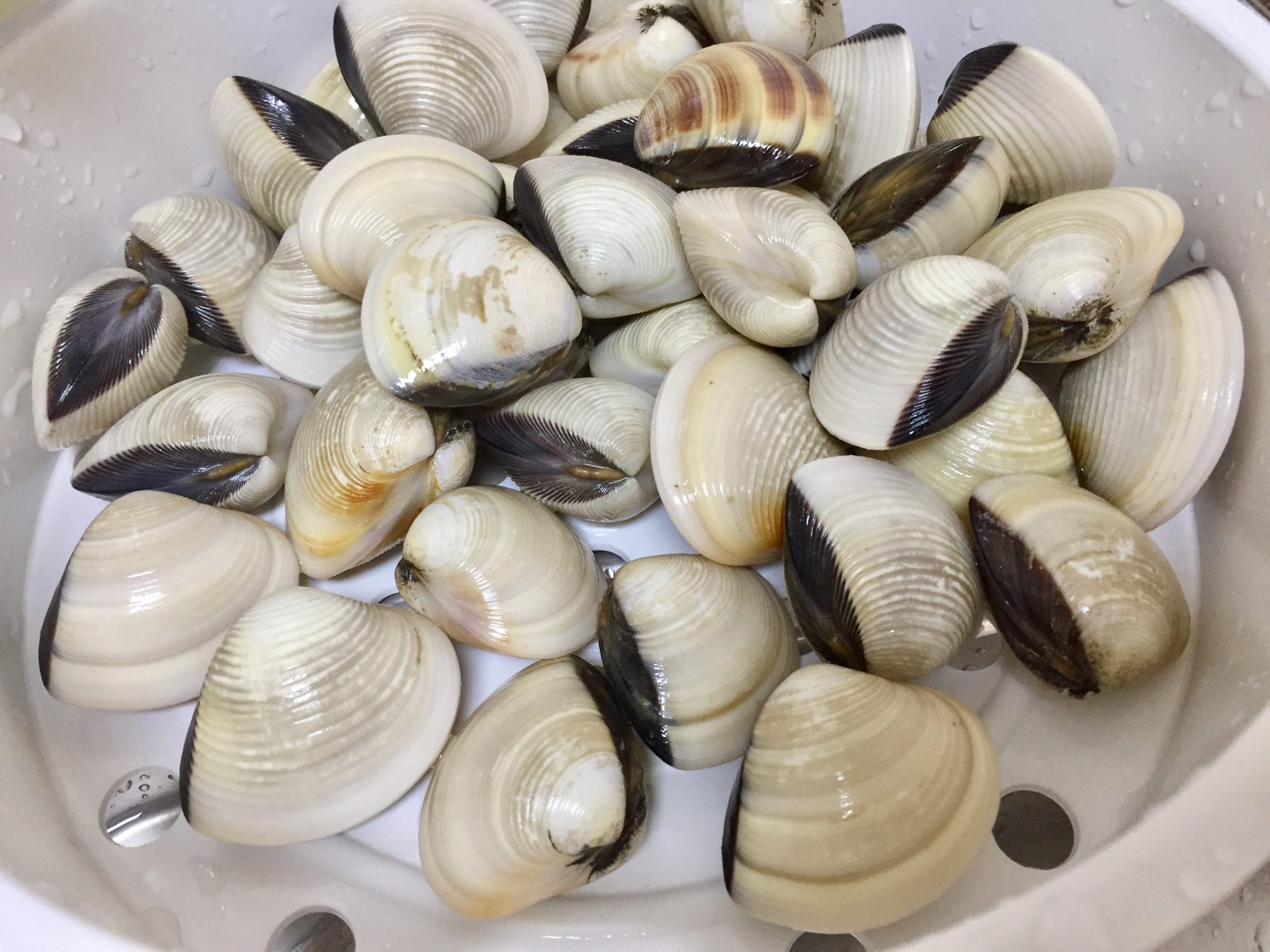 贝腾服务器购买渠道的对比与选择