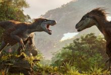 方舟官服龙位全面解析：探寻龙位总数与分配细节-优乐评测网