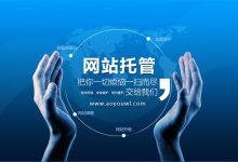 不同托管商之间的价格差异-优乐评测网