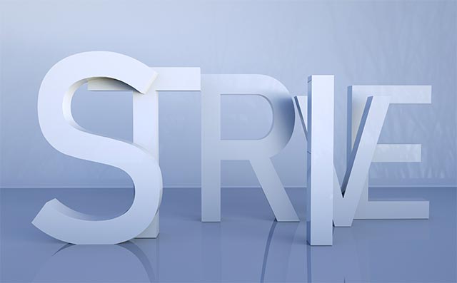 按月收费标准概览