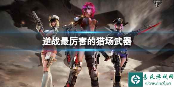 战力榜揭秘逆水寒全服务器最高纪录