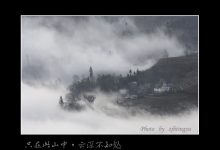 探寻云中之景狮子林管理的特色与亮点-优乐评测网