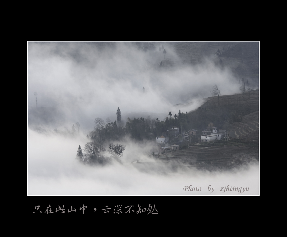 探寻云中之景狮子林管理的特色与亮点