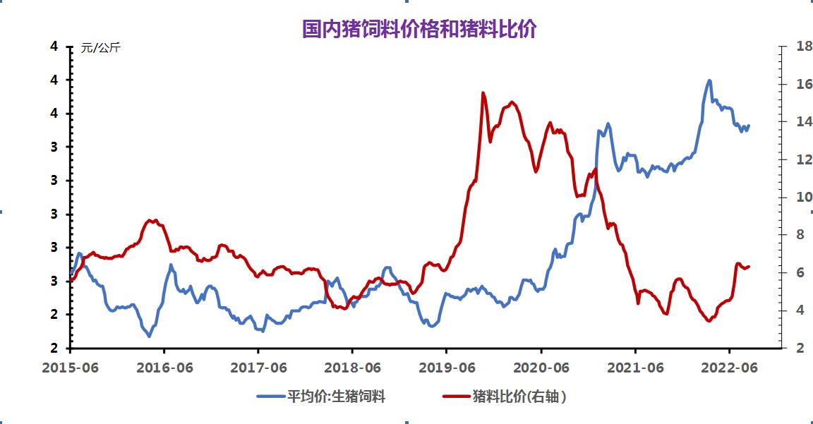 市场趋势及折扣优惠