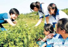 体验多样战场环境-优乐评测网