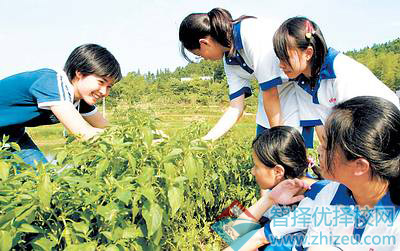 体验多样战场环境