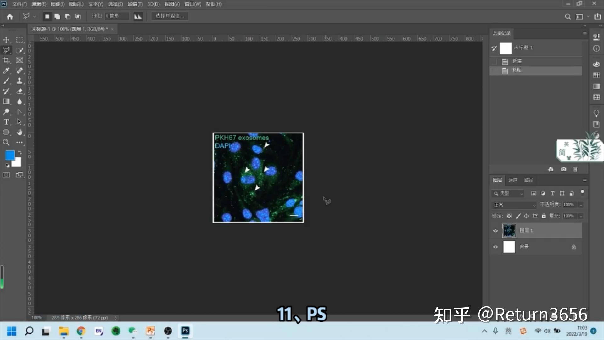 受绘图软件效率影响