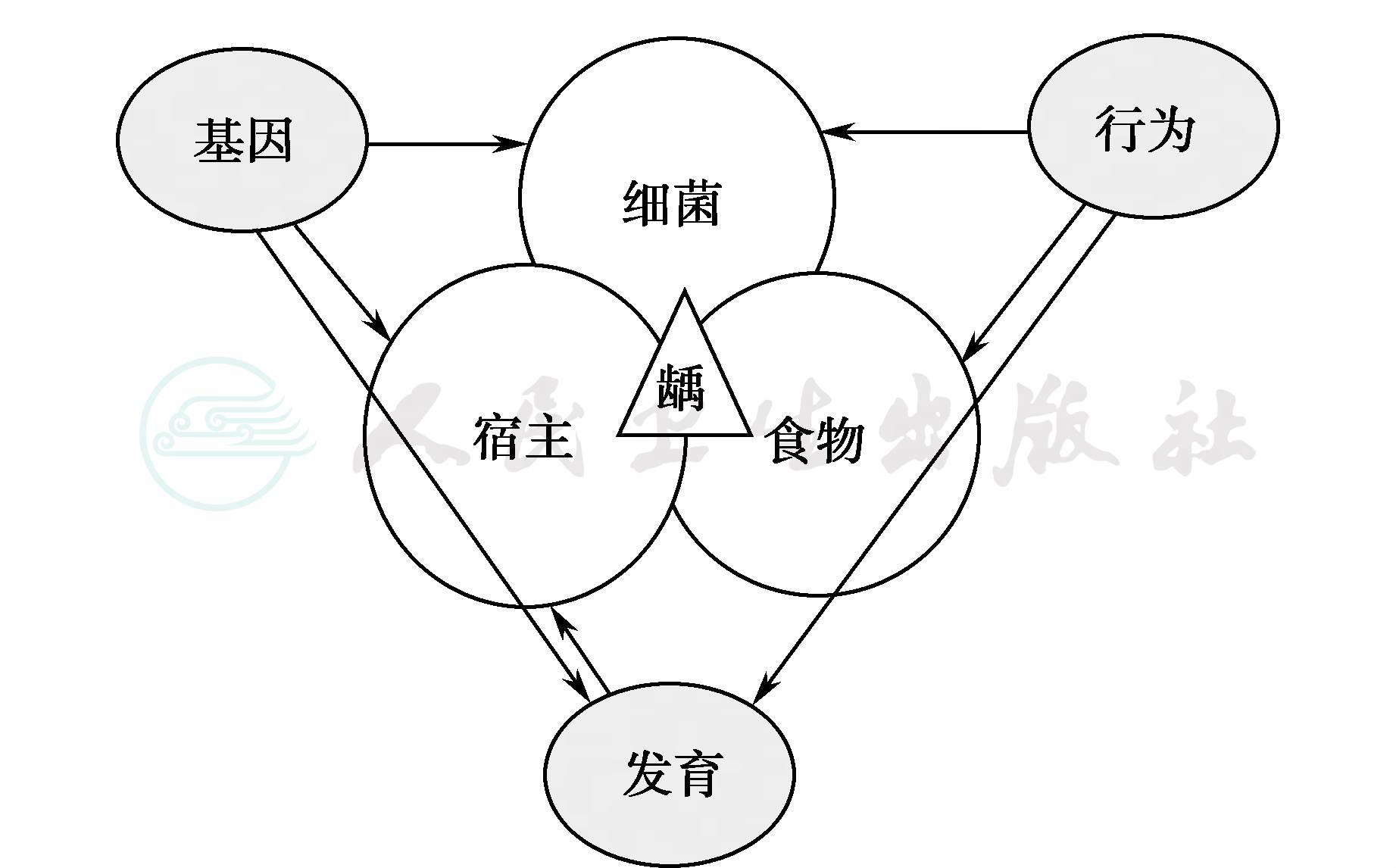 具体价格需了解详情而定