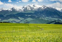 新疆医科大学云计算推动医疗服务发展-优乐评测网