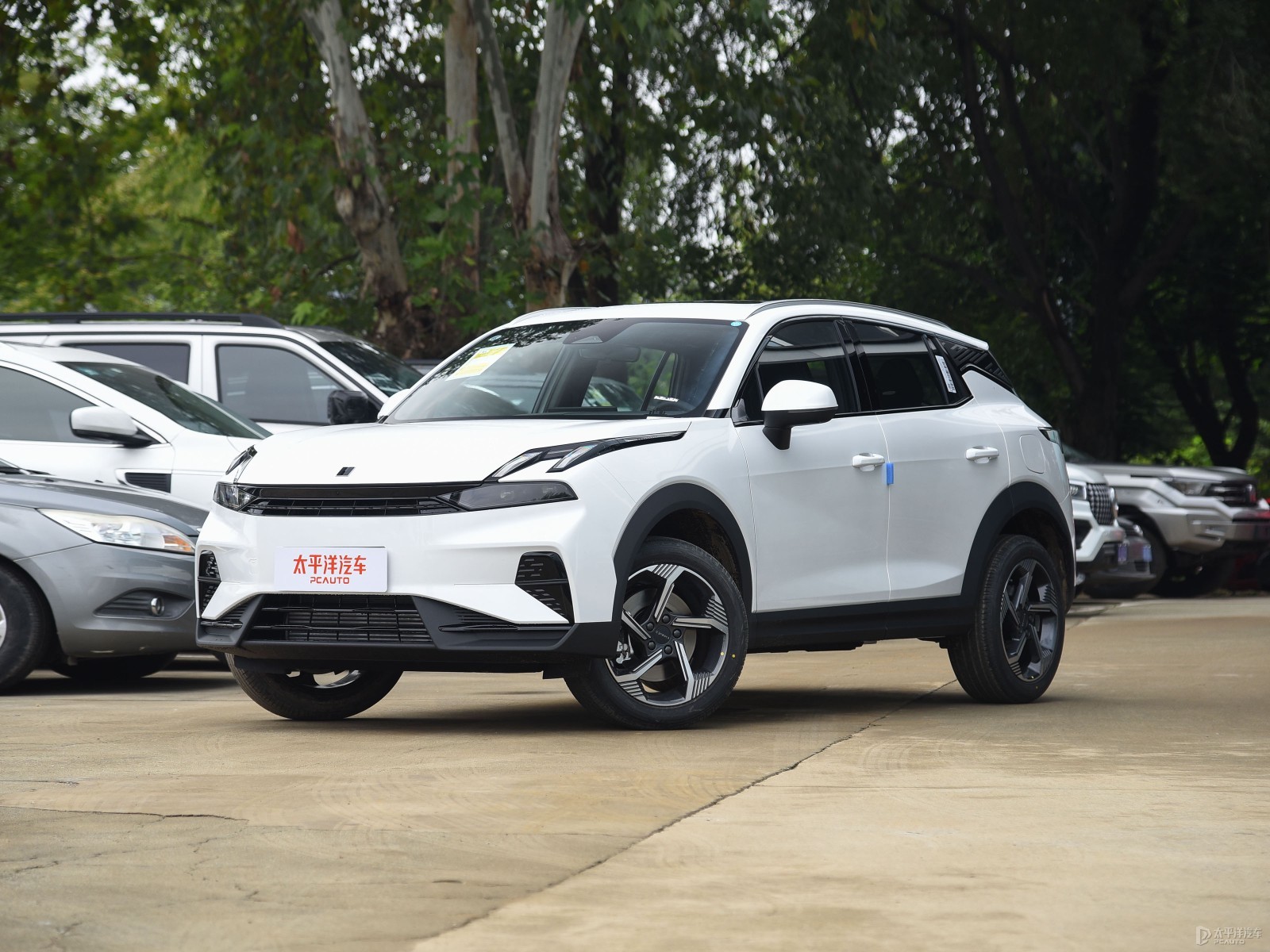 如何快速获取戴尔服务器客服电话及支持