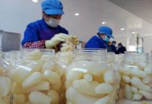 一台萝卜企业服务器的价格是多少？最新报价及市场行情解读-优乐评测网