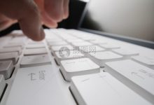 探讨不同服务器类型对搭载网站数量的影响-优乐评测网