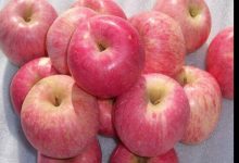 一台苹果价位下的华为服务器究竟如何?-优乐评测网