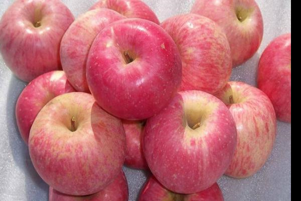 一台苹果价位下的华为服务器究竟如何