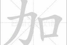 加丁服务器的价格因配置、品牌及市场需求波动而有所差异。-优乐评测网