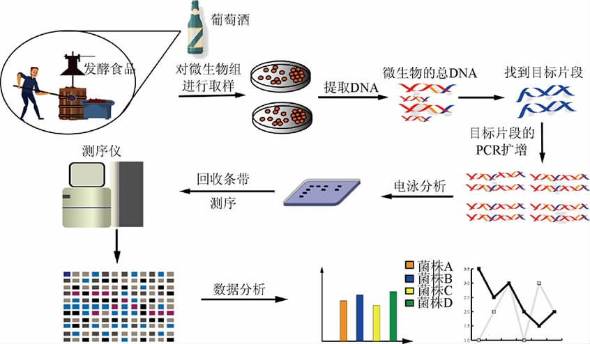 探究生物技术如何助力兰州生态环境保护