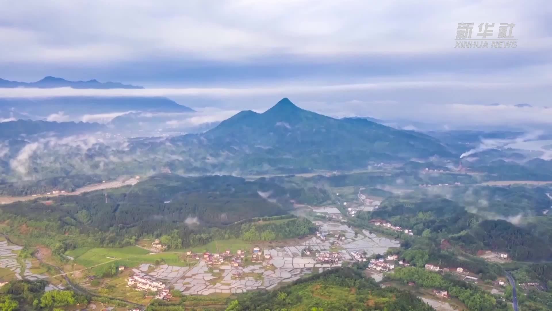 赋能中部地区数字化进程