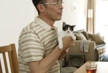 出租猫服务器，费用如何计算？-优乐评测网