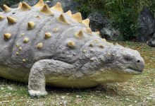 恐龙岛服务器人气爆棚：究竟有多少玩家在冒险探索？-优乐评测网