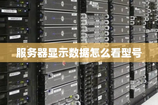 获取服务器型号和配置与价格关联的深度解析